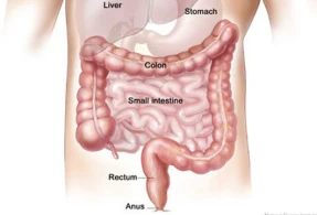 Düz bağırsaq sallanması. SƏBƏBLƏR və MÜALİCƏSİ