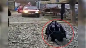 Azərbaycanda 18 il sonra nəvəsi olan nənə görün nə etdi (VİDEO)