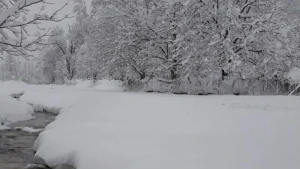 Sabah Bakıya QAR YAĞACAQ: 15 dərəcə şaxta, güclü külək olacaq, yollar buz bağlayacaq
