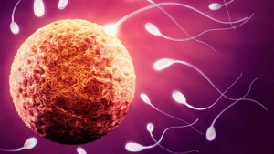 Gec yaşda evlənən kişiləri GÖZLƏYƏN TƏHLÜKƏ