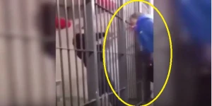 Həbsxanadan şok görüntü: Məhbus vəkili ölümcül etdi