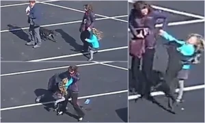 İtin uşağa qəfil hücumu - ANBAAN VİDEO