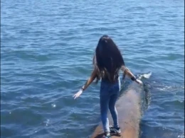 Bakı bulvarında dəhşətli hadisə: Qız özünü dənizə atdı