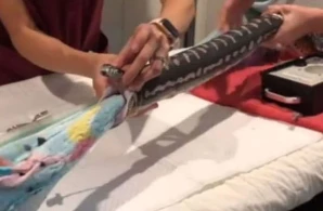 İlanın mədəsindən çıxan hər kəsi şoka saldı +VİDEO