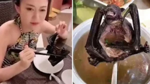 Koronavirusla bağlı deyilənlər HAMISI YANLIŞ İMİŞ - ŞOK FAKTLAR ÜZƏ ÇIXDI (FOTO)