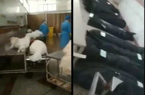 İrandan ŞOK video yayıldı: Koronovirusdan ölən adamlar harada gizlədilib? - 18+VİDEO