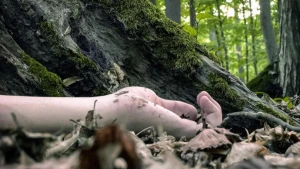 Azərbaycanda dəhşət: Yeniyetmə qayadan düşüb öldü