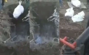 İrandan dəhşətli görüntü: Koronovirusdan ölənləri quyuya atırlar (18+VİDEO)