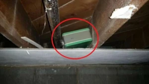 Aldığı evin çardağından çanta tapdı - İçinə baxanda GÖRDÜKLƏRİNƏ İNANMADI (FOTO/VİDEO)