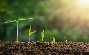 Bu gün Torpaq çərşənbəsidir