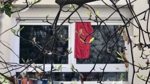 Minlərlə insan pəncərəsindən QIRMIZI PARÇA asdı - Avropa ölkəsində qorxulu mənzərə