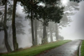 Yağış, duman, külək - HAVA PROQNOZU