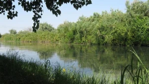 Sabirabadda faciəvi hadisə - Meyiti axtarılır