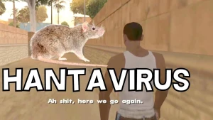 Dünya şokda!Koronovirus bitməmiş yeni virus yayıldı +VİDEO
