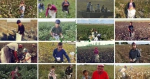 “Qul əməyi”nə cəlb olunan uşaqların ACI STATİSTİKASI: - “Qanunlar sərtləşdirilməsə...”