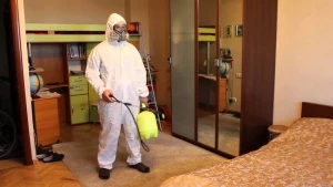 ŞAD XƏBƏR! Azərbaycan istehsala başladı