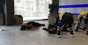 Maska almaq üstündə silah işlədildi - 4 nəfər yaralandı