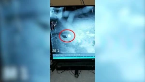 Azərbaycanda qorxunc hadisə: Gözəgörünməz varlıq fermanı bir-birinə qatdı - VİDEO