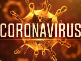 Yapon elm adamlarından qorxuducu iddia: "Virus havada qala bilər"