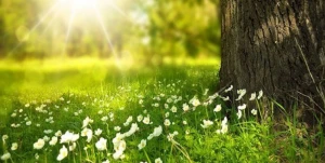 Bakıda 17 dərəcə isti olacaq — HAVA PROQNOZU