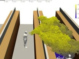 Koronavirusa yoluxan şəxsin virusu necə yaydığını ANBAAN İZLƏYİN - VİDEO