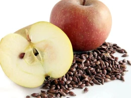 Almanın özü qədər faydalı olan TUMLARI