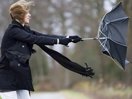 Koronavirus küləkli havada yayıla bilərmi? — Mütəxəssisdən AÇIQLAMA