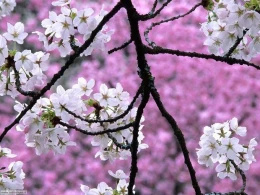 Hava ilə  bağlı XƏBƏRDARLIQ