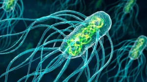 ŞOK! Parazitlər  insan bədəninə belə girir