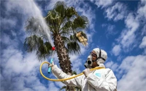 2020-ci il dəhşətli istilər ili kimi də tarixə düşəcək- XƏBƏRDARLIQ