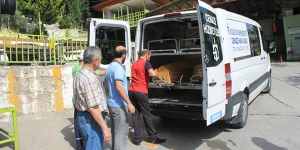 Azərbaycan vətəndaşının meyiti  sərhəddə qalıb  —  ŞOK  GÖRÜNTÜLƏR