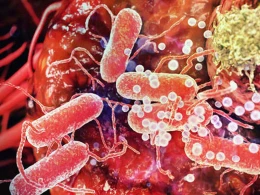 Xərçəng diaqnozunda İNQİLAB: sadəcə bu yolla tapmaq mümkün olacaq