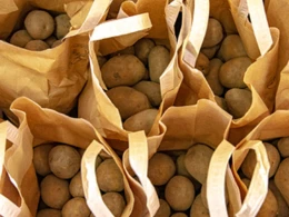 Kartof qızartması koronavirusdan qoruyur? - Kütləvi istehlak başladı