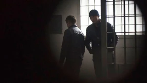 Koronavirusa görə 260 məhkum şərti azadlığa buraxılıb - AZƏRBAYCANDA 