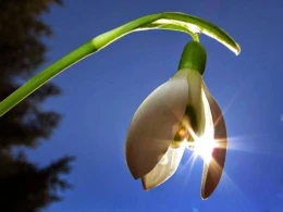 Həftənin ilk günü hava necə olacaq?