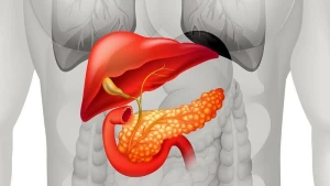 Mədəaltı vəzinin dərmanı əlimizin altında - DƏMLƏ, İÇ
