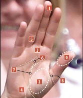 Hər insanın tale "ədəd"i var və bu gerçəkdir