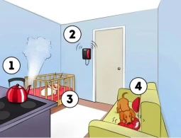 İlk öncə nə edərdiniz? Nəticə sizin haqqınızda bir çox INANILMAZ faktlar ortaya çıxarır