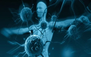 İmmunitetinizi gücləndirmək üçün 5 SADƏ YOL