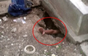 Qəbirə kamera qoydular: Gördüklərindən şoka düşdülər