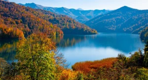 Azərbaycanla bağlı qorxunc proqnoz: Bu canlı aləmi məhv olacaq