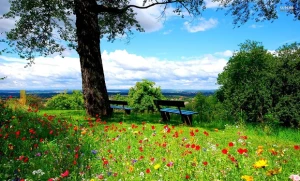 Bu gün hava necə olacaq?