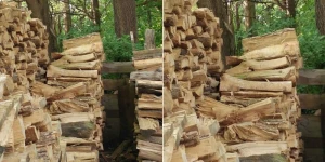 Fotoda pişiyi görürsünüzmü? - DİQQƏT TESTİ