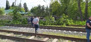 Tovuzda külək iri gövdəli ağacı aşırıb, dəmir yolu bağlanıb - FOTO