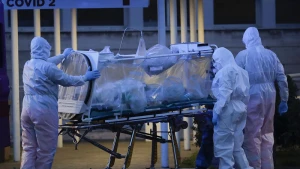 TƏBİB koronavirusla bağlı son məlumatı açıqladı