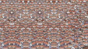 Fotoda pişiyi kim görür? - DİQQƏT TESTİ