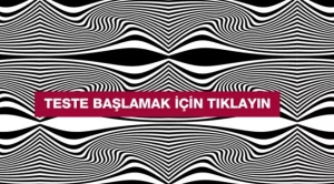 İntellekt testi: Şəkildə hansı heyvan var? Bunu 100 nəfərdən yalnız 2-si görür