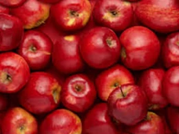 Yatmazdan əvvəl yeyilən alma orqanizminizə necə təsir edir?