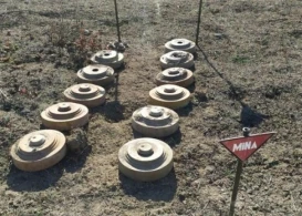 Qarabağda&nbsp; 875 hektardan çox ərazi minalardan təmizlənib&nbsp;