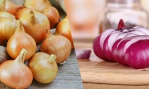 Hər gün soğan yeyin - Xəstəliklərə qarşı cıxın